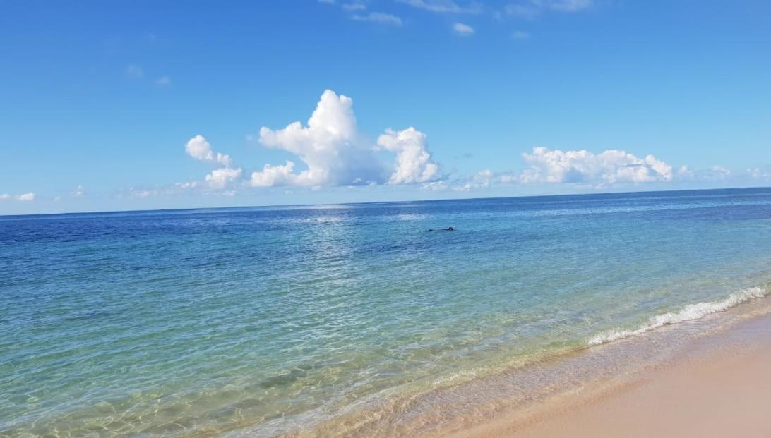 Appartement Paradisiaque Entre Hammamet Et Набел Екстериор снимка